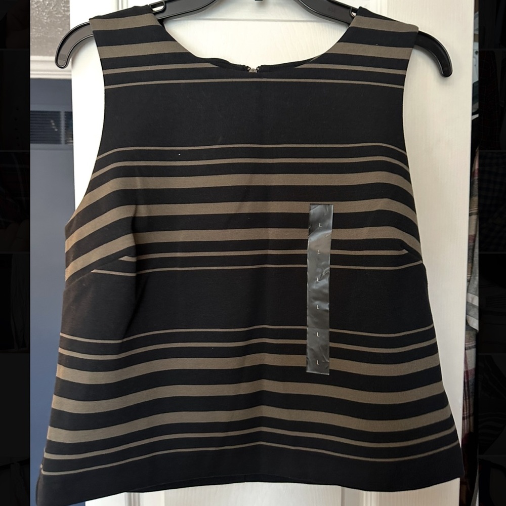 NWT - BR black and tan striped top and skirt combo